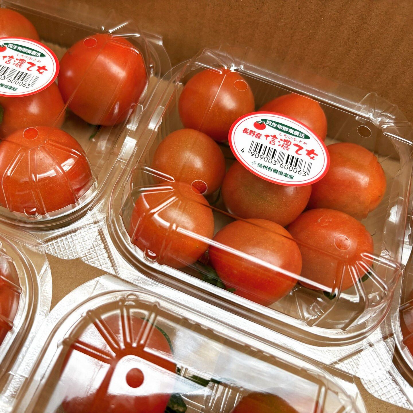 毎日丁寧に積み重ねてきた誘引作業等の栽培管理が、ついに結果を