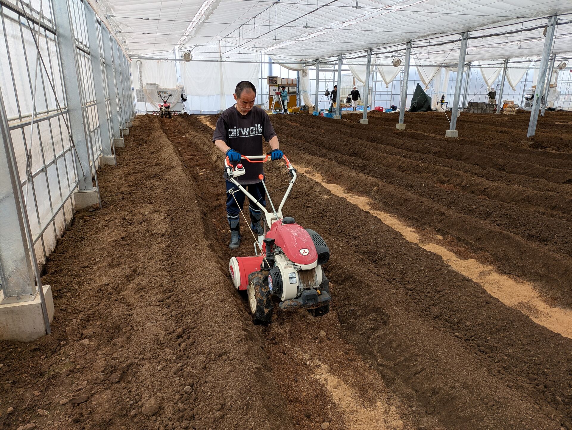 胡瓜定植の準備作業始まる