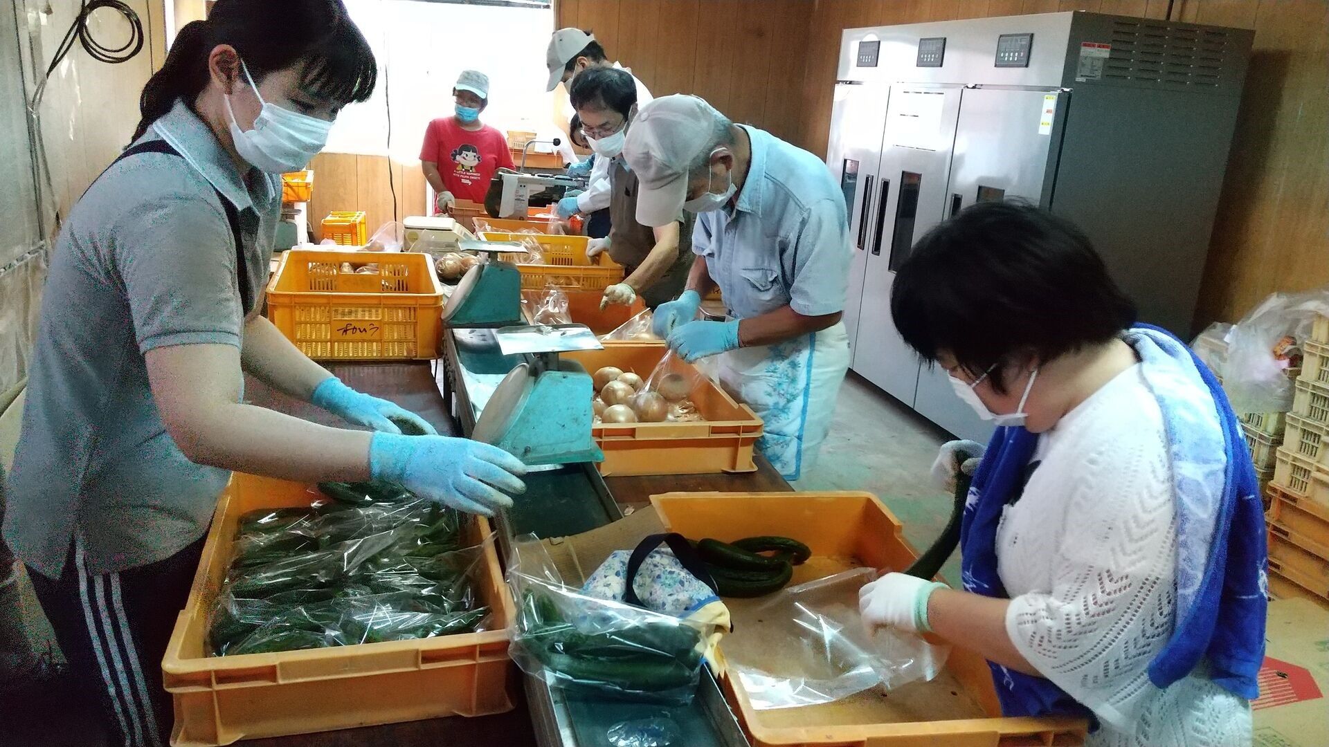 一般就労